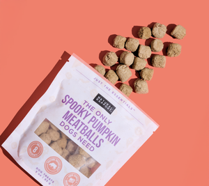 The Only Spooky Pumpkin Meatballs Dogs Need