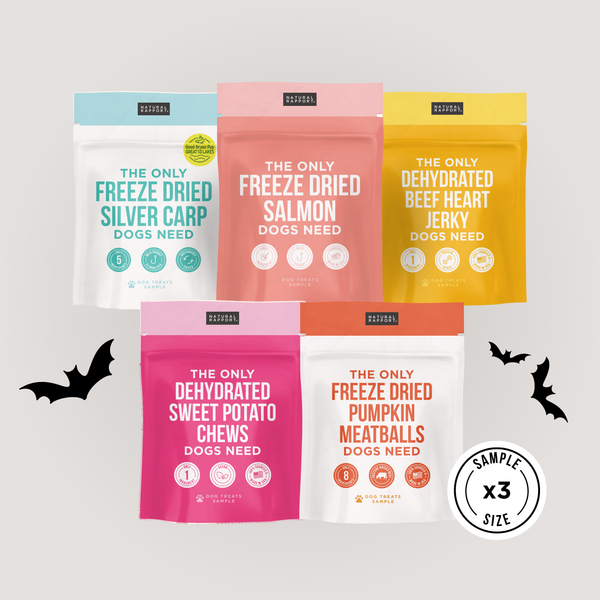 The Only Trick or Treat Bundle Dogs Need