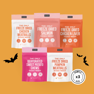 The Only Trick or Treat Bundle Dogs Need