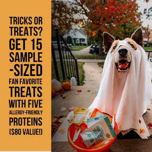 The Only Trick or Treat Bundle Dogs Need
