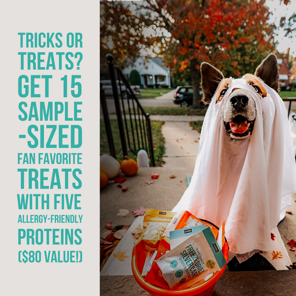 The Only Trick or Treat Bundle Dogs Need