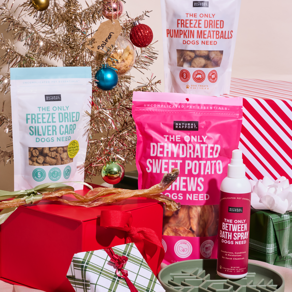 The Only Holiday Gift Box Dogs Need