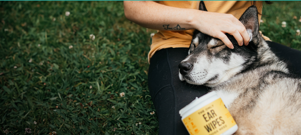 The Only Melatonin Calming Soft Chews Dogs Need