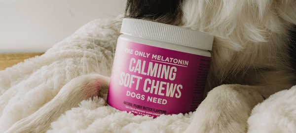 The Only Melatonin Calming Soft Chews Dogs Need