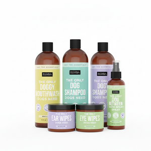 The Only Grooming Essentials Dogs Need