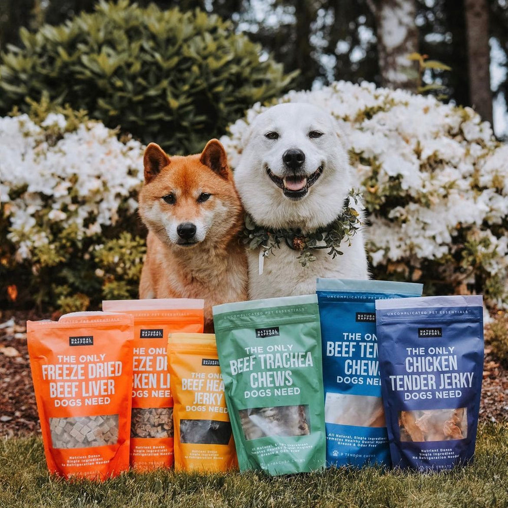 Natural Dog Treats by Natural Rapport