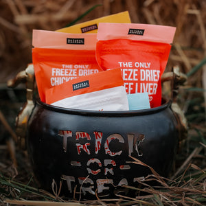 The Only Trick or Treat Bundle Dogs Need
