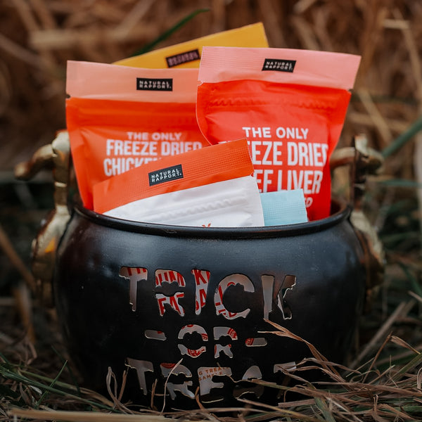 The Only Trick or Treat Bundle Dogs Need