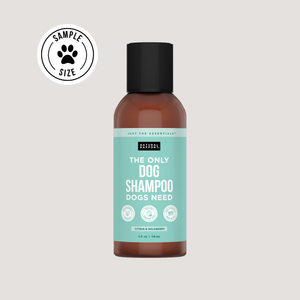 The Only Dog Shampoo Dogs Need