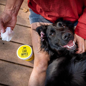 The Only Ear Cleaner Duo Dogs Need