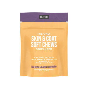 The Only Skin & Coat Soft Chews Dogs Need