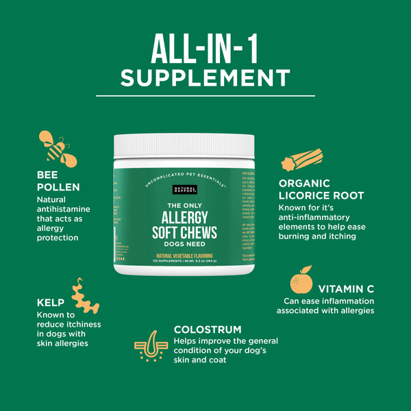 allergy soft chew supplements for dogs