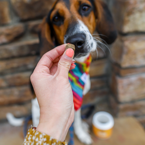 Soft Chew Dog Supplements