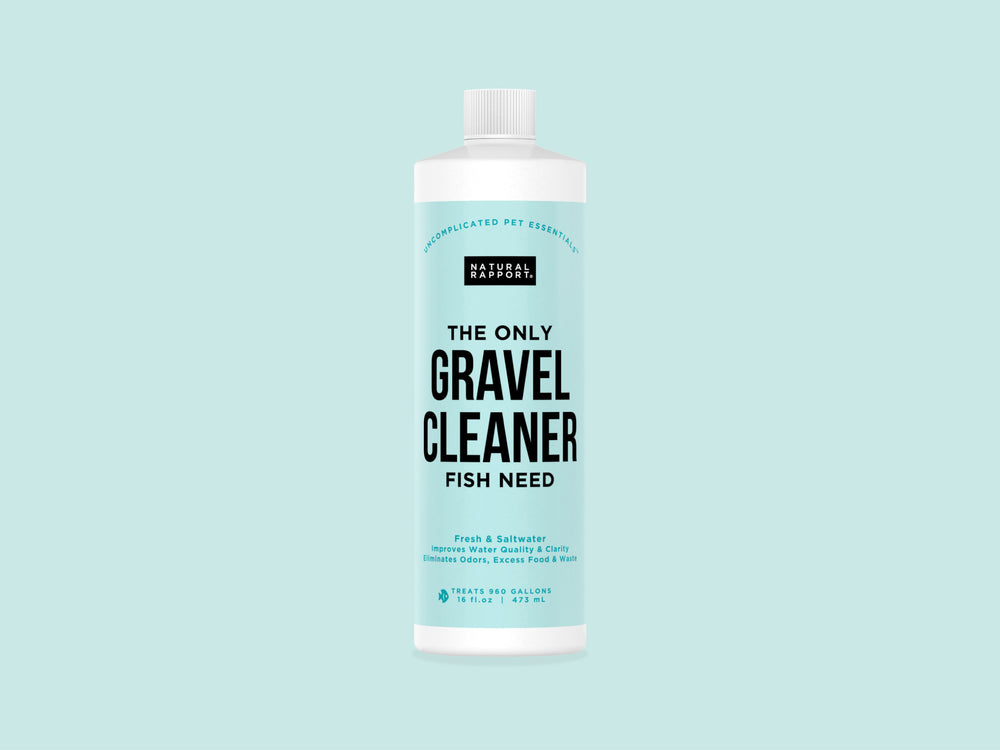 The Only Gravel Cleaner Fish Need