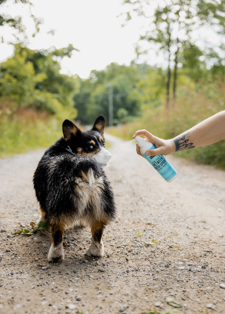 
            
                Load image into Gallery viewer, Natural Rapport Between Bath Spray for dogs
            
        