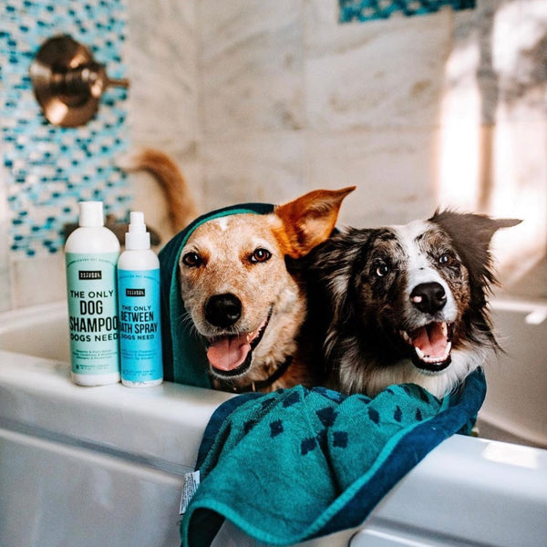 Natural Dog Grooming Products