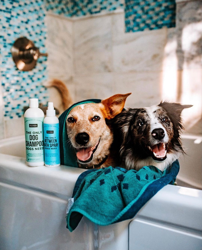 Natural Dog Grooming Products